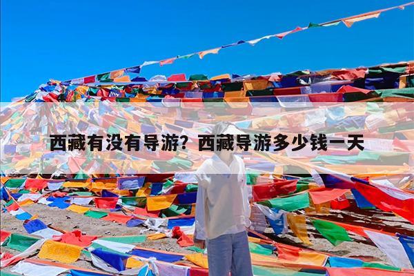西藏有没有导游?西藏导游多少钱一天