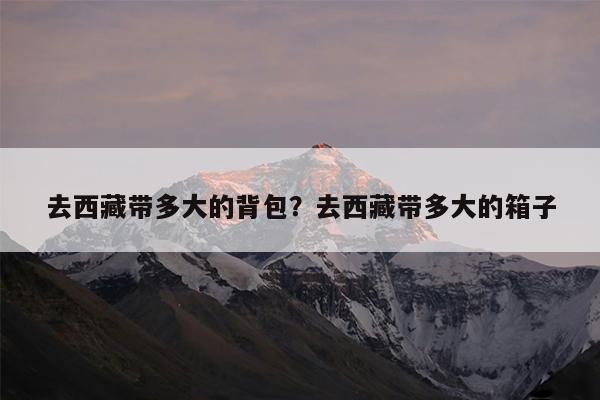 去西藏带多大的背包?去西藏带多大的箱子