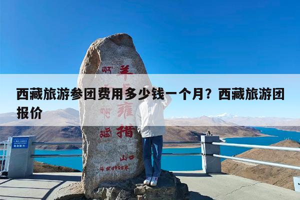 西藏旅游参团费用多少钱一个月?西藏旅游团报价