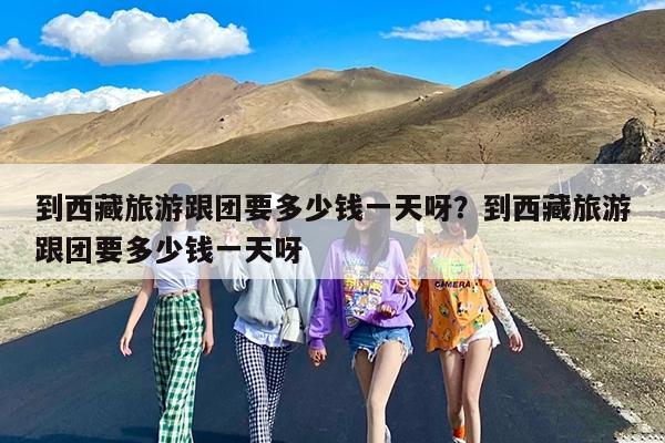 到西藏旅游跟团要多少钱一天呀?到西藏旅游跟团要多少钱一天呀