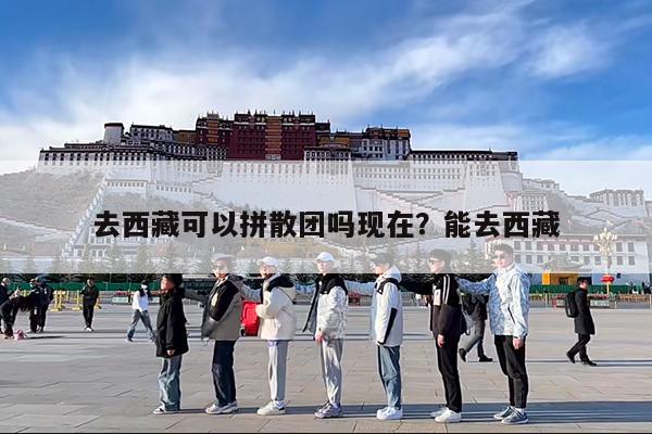 去西藏可以拼散团吗现在?能去西藏