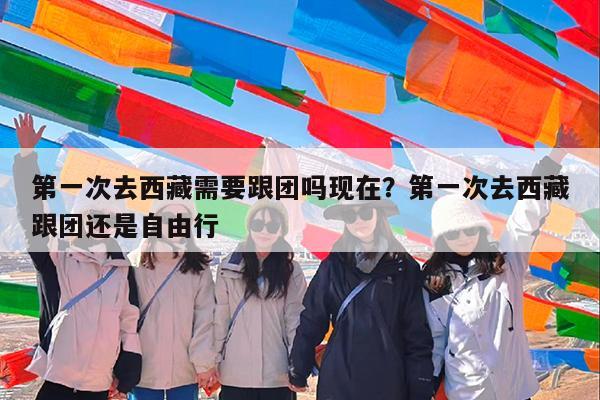 第一次去西藏需要跟团吗现在?第一次去西藏跟团还是自由行