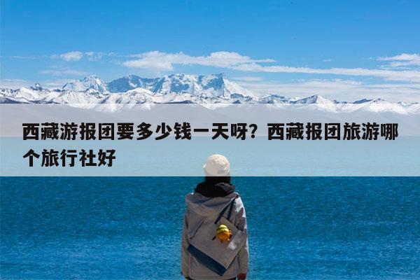 西藏游报团要多少钱一天呀?西藏报团旅游哪个旅行社好