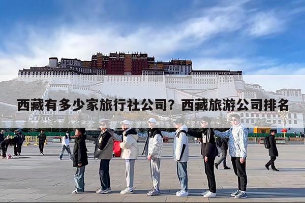 西藏有多少家旅行社公司?西藏旅游公司排名