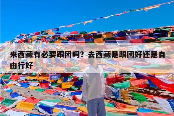 来西藏有必要跟团吗?去西藏是跟团好还是自由行好