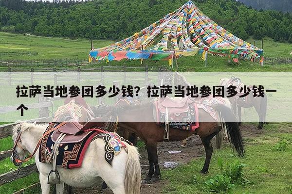拉萨当地参团多少钱?拉萨当地参团多少钱一个