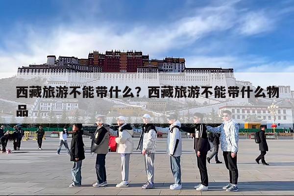 西藏旅游不能带什么?西藏旅游不能带什么物品