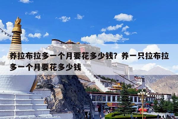 养拉布拉多一个月要花多少钱?养一只拉布拉多一个月要花多少钱