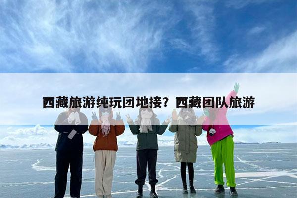 西藏旅游纯玩团地接?西藏团队旅游