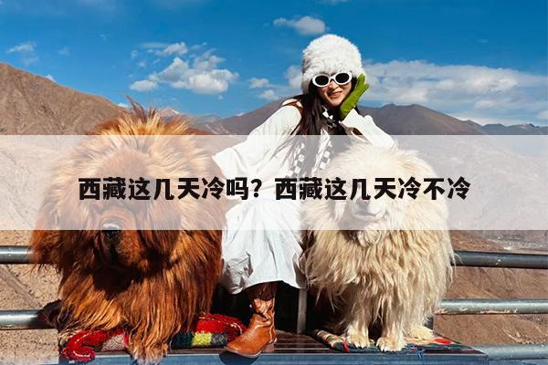 西藏这几天冷吗?西藏这几天冷不冷
